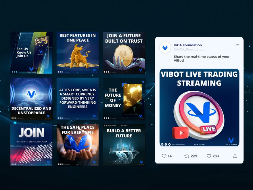 Set de feed para un proyecto de tecnología