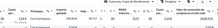 Meta Ads: ROAS 15,51 con 291 euros invertidos