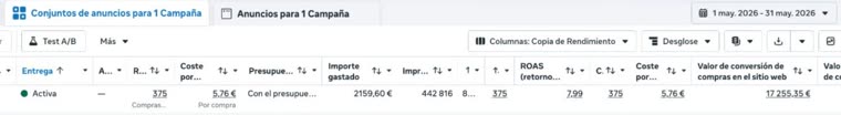 Meta Ads: ROAS 7,99 con 17.255 euros en ventas
